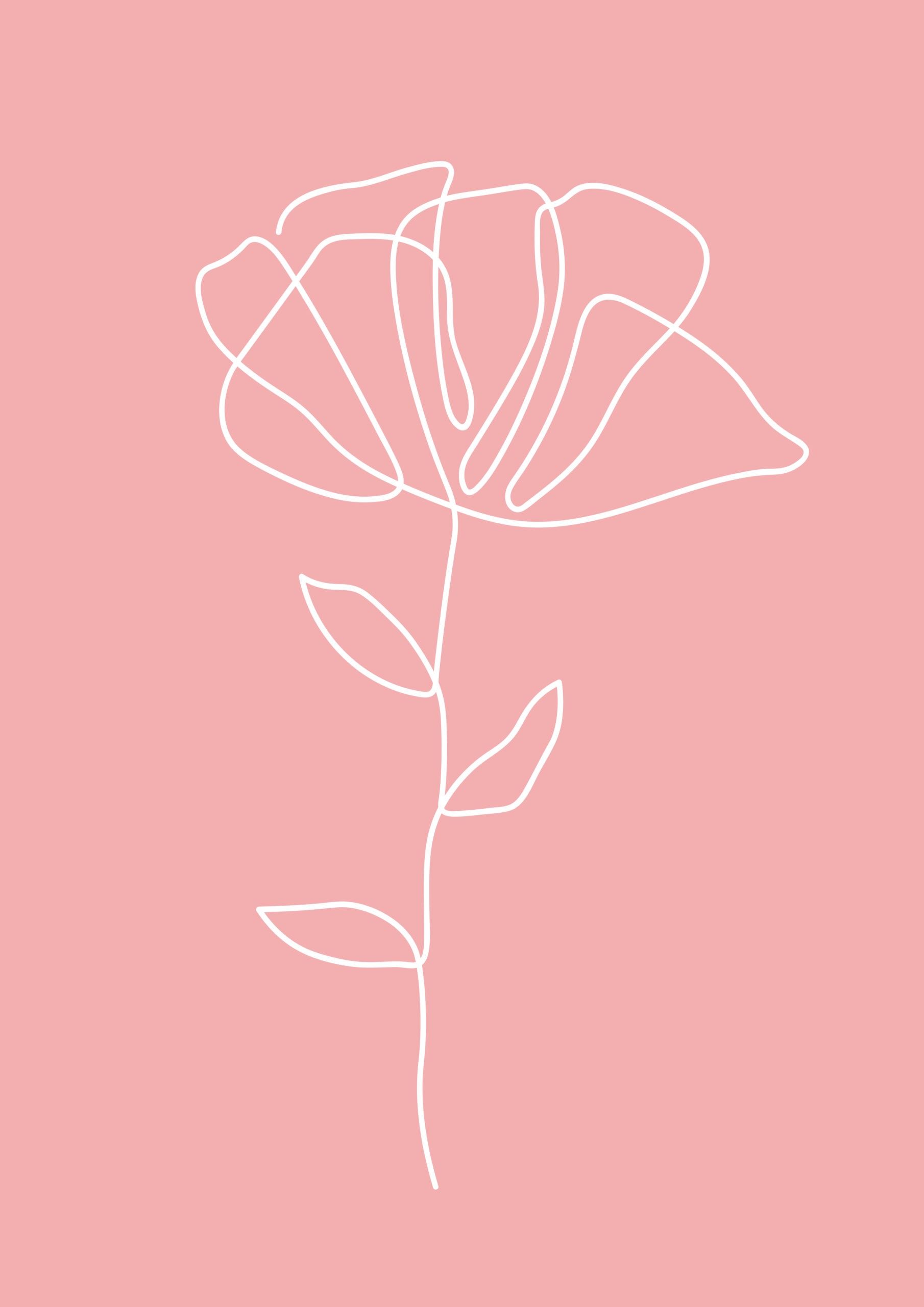 Blume Hintergrundbild 1810x2560. Blume rosa line art