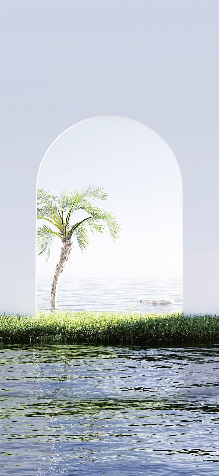  See Hintergrundbild 720x1560. Aesthetic View Of Palm Tree Near Water 4K Phone Wallpaper
