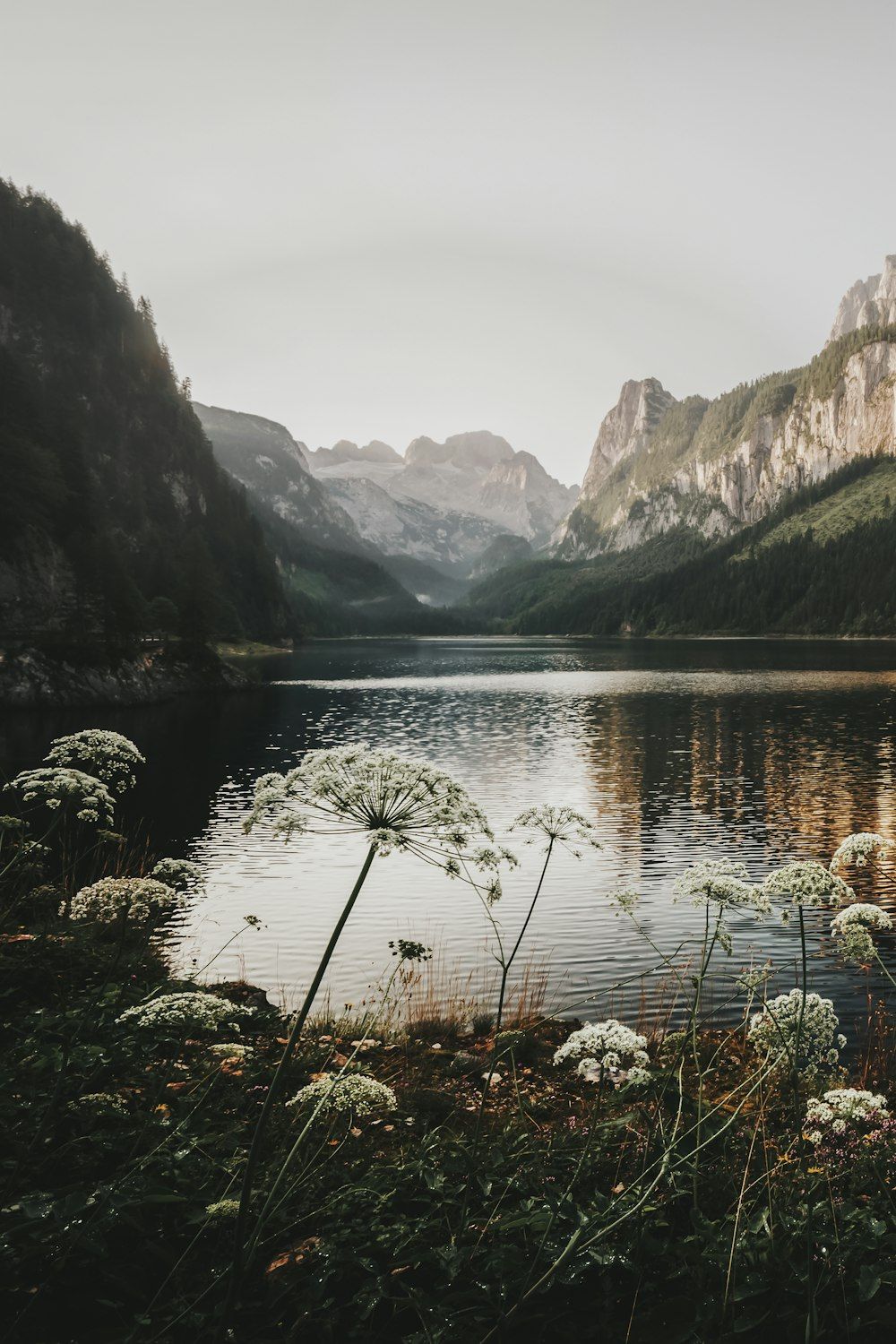  See Hintergrundbild 1000x1500. A lake with mountains in the background photo