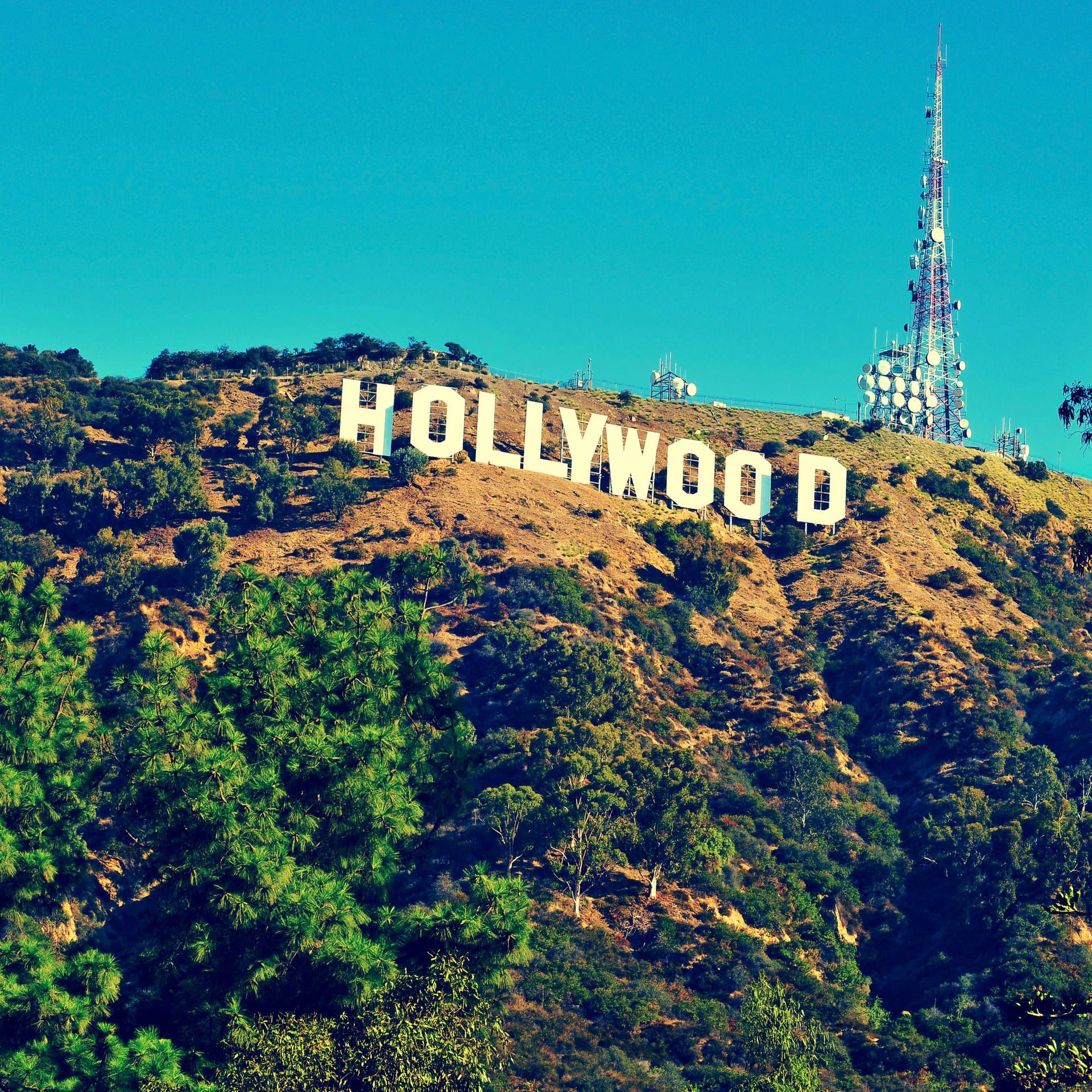  Hollywood Hintergrundbild 1920x1920. Download Hollywood Sign Aesthetic Square Wallpaper