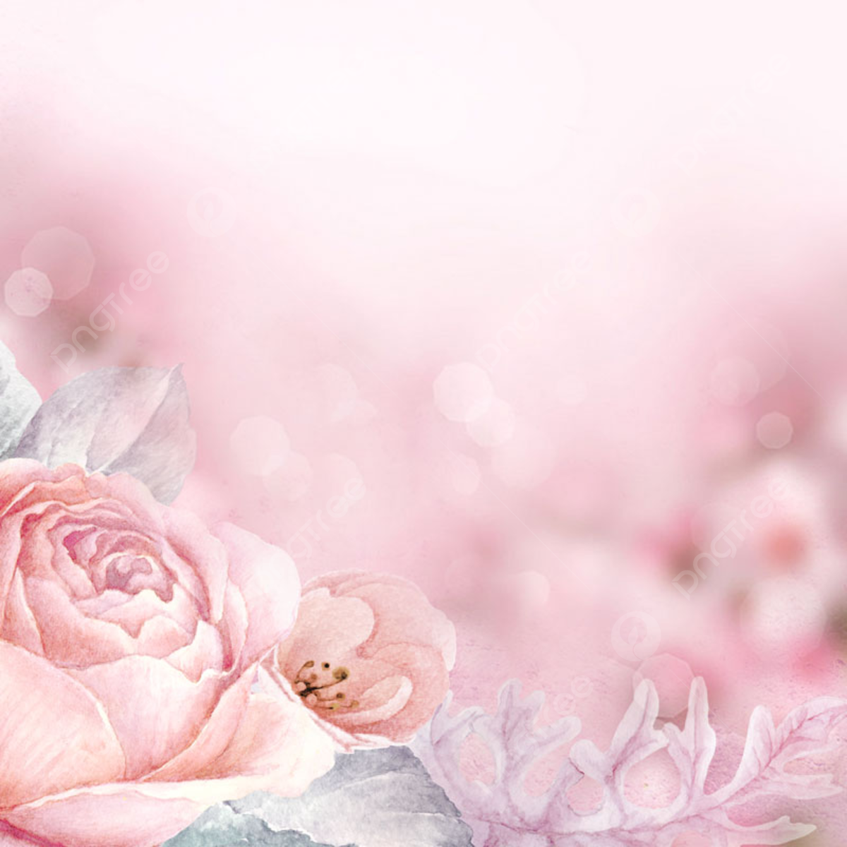  Pinke ästhetik Hintergrundbild 1200x1200. Pink Background Romantic Beauty Bee Collecting Honey Cosmetics, Rosa Hintergrund, Romantische Schönheit, Biene Sammelt Honig Hintergrund, Foto und Bild zum kostenlosen Download