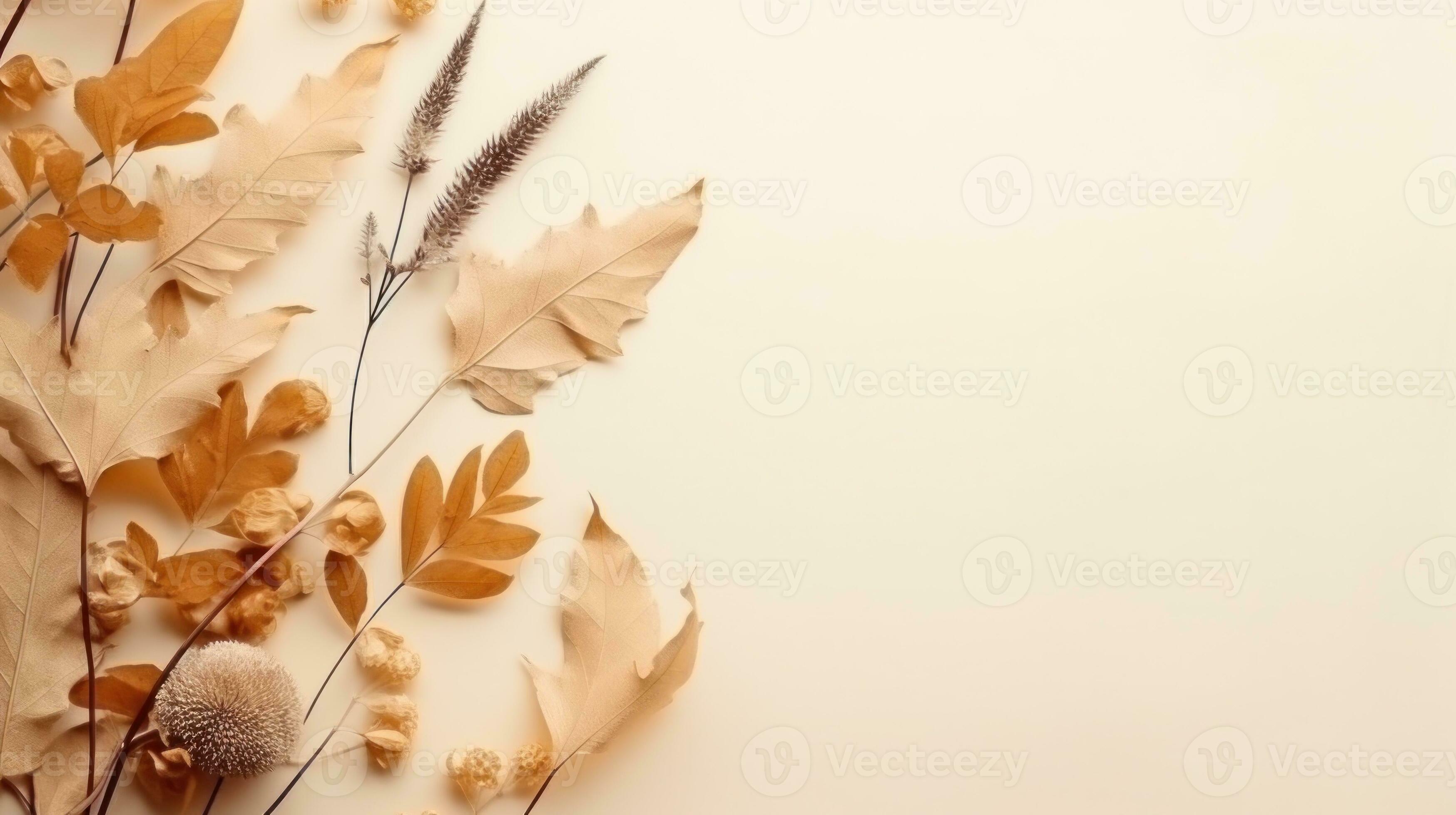  Herbst Beige Hintergrundbild 3497x1960. Herbst Minimalistisch Beige Hintergrund 26625501 Stock Photo Bei Vecteezy