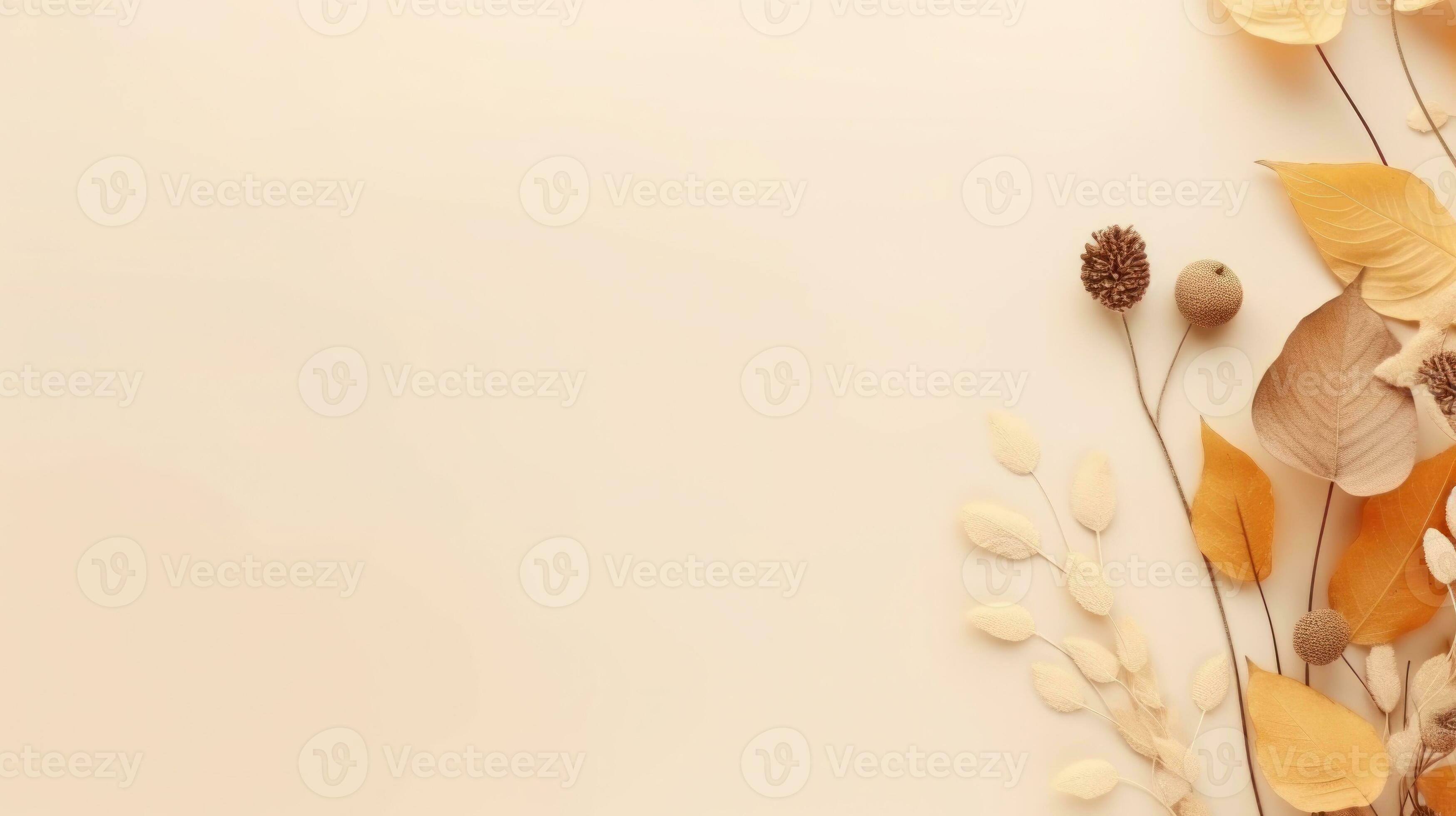  Herbst Beige Hintergrundbild 3497x1960. Herbst Minimalistisch Beige Hintergrund 26625476 Stock Photo Bei Vecteezy