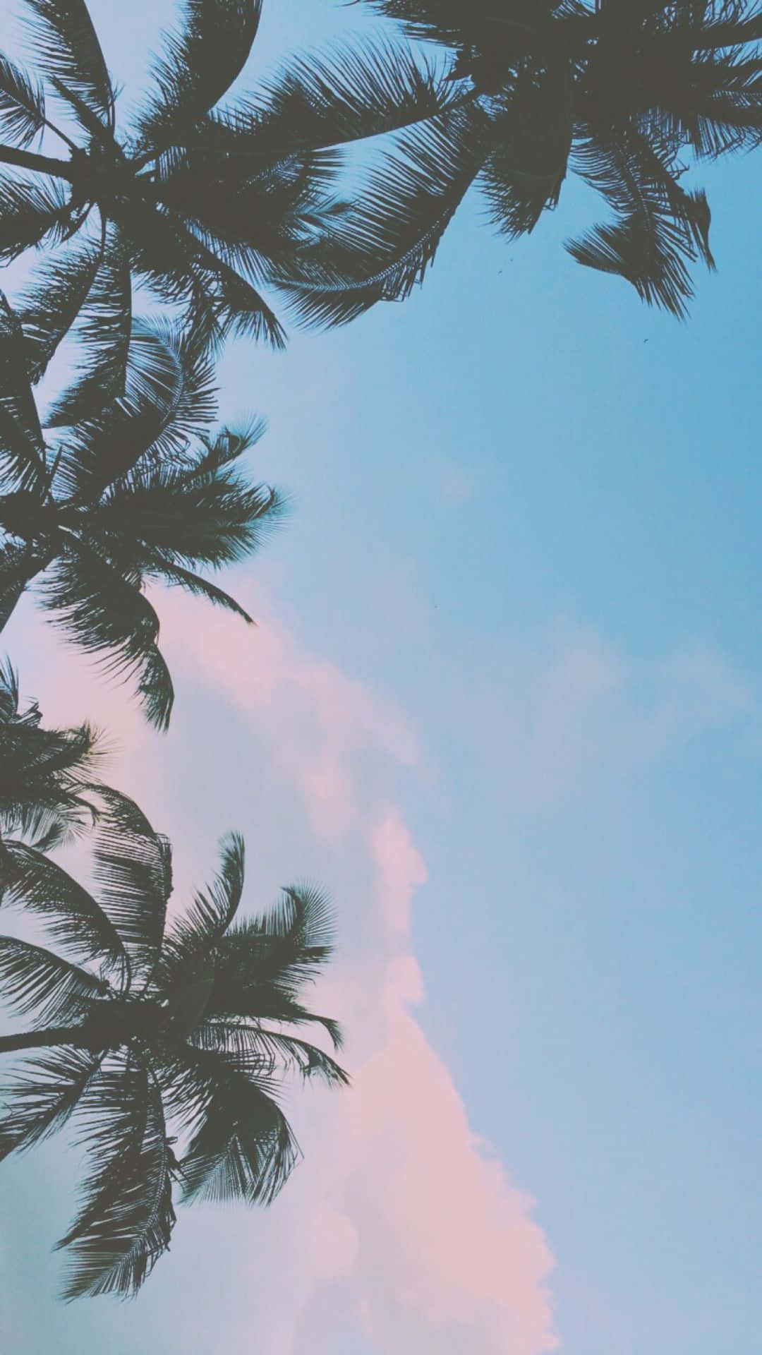  1080x1920 Hintergrundbild 1080x1920. Tropical Aesthetic Wallpaper