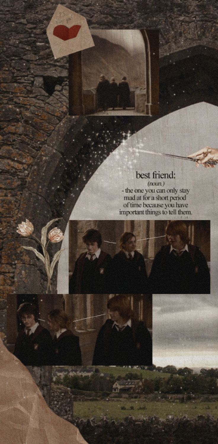  Harry Potter Hintergrundbild 736x1494. golden trio aesthetic wallpaper