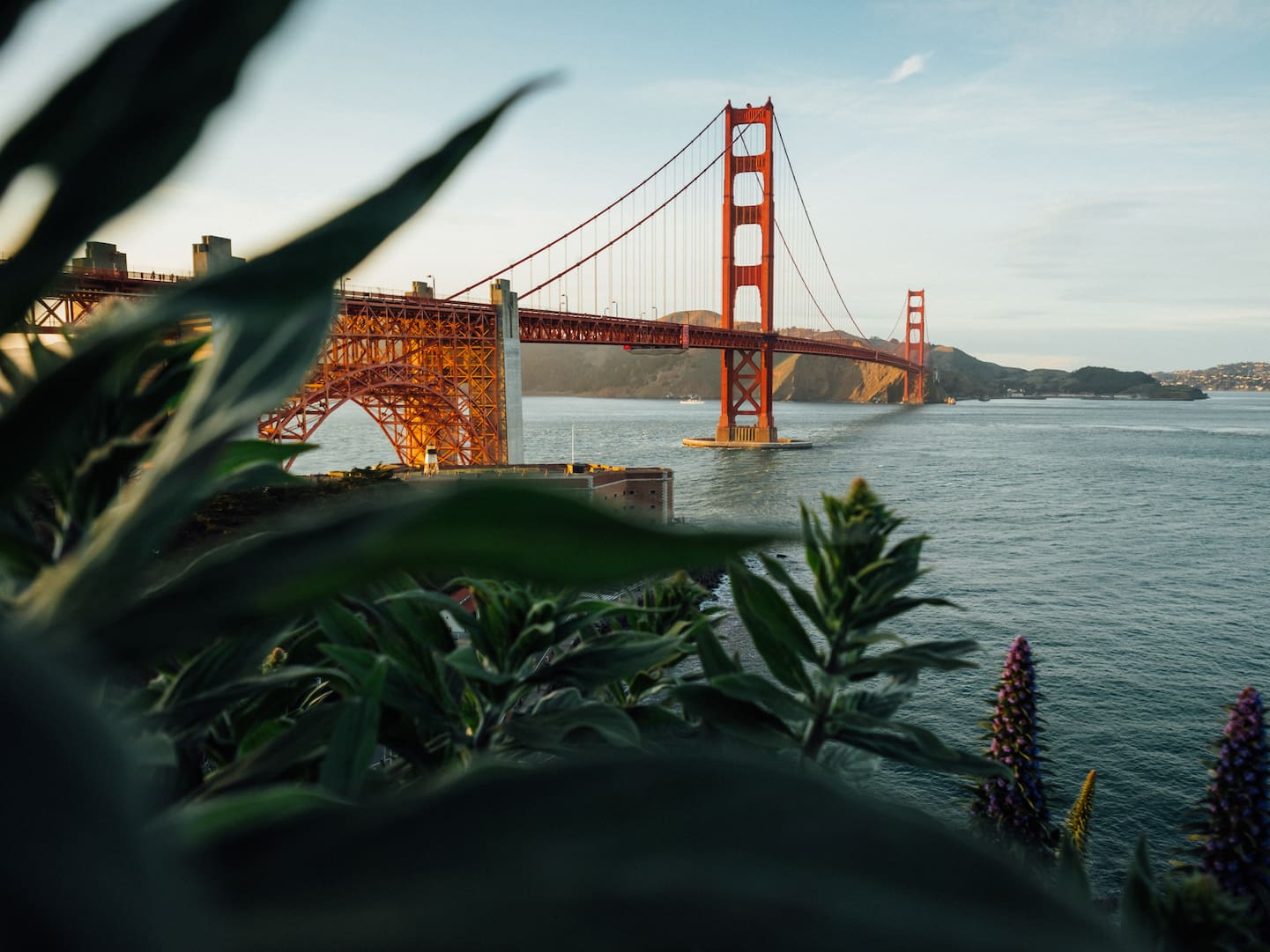  Herz Mit Brücke Hintergrundbild 1441x1081. Crosstown Trail: Auf diesem Weg wanderst du quer durch San Francisco