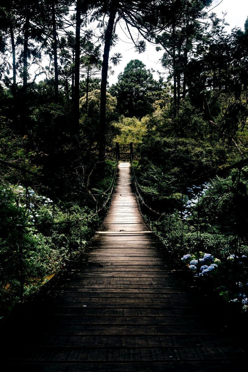  Herz Mit Brücke Hintergrundbild 800x1199. Verena Gand auf LinkedIn: Gestern war es so weit. Um 20:30 mit einem starken Händedruck der Kommentare