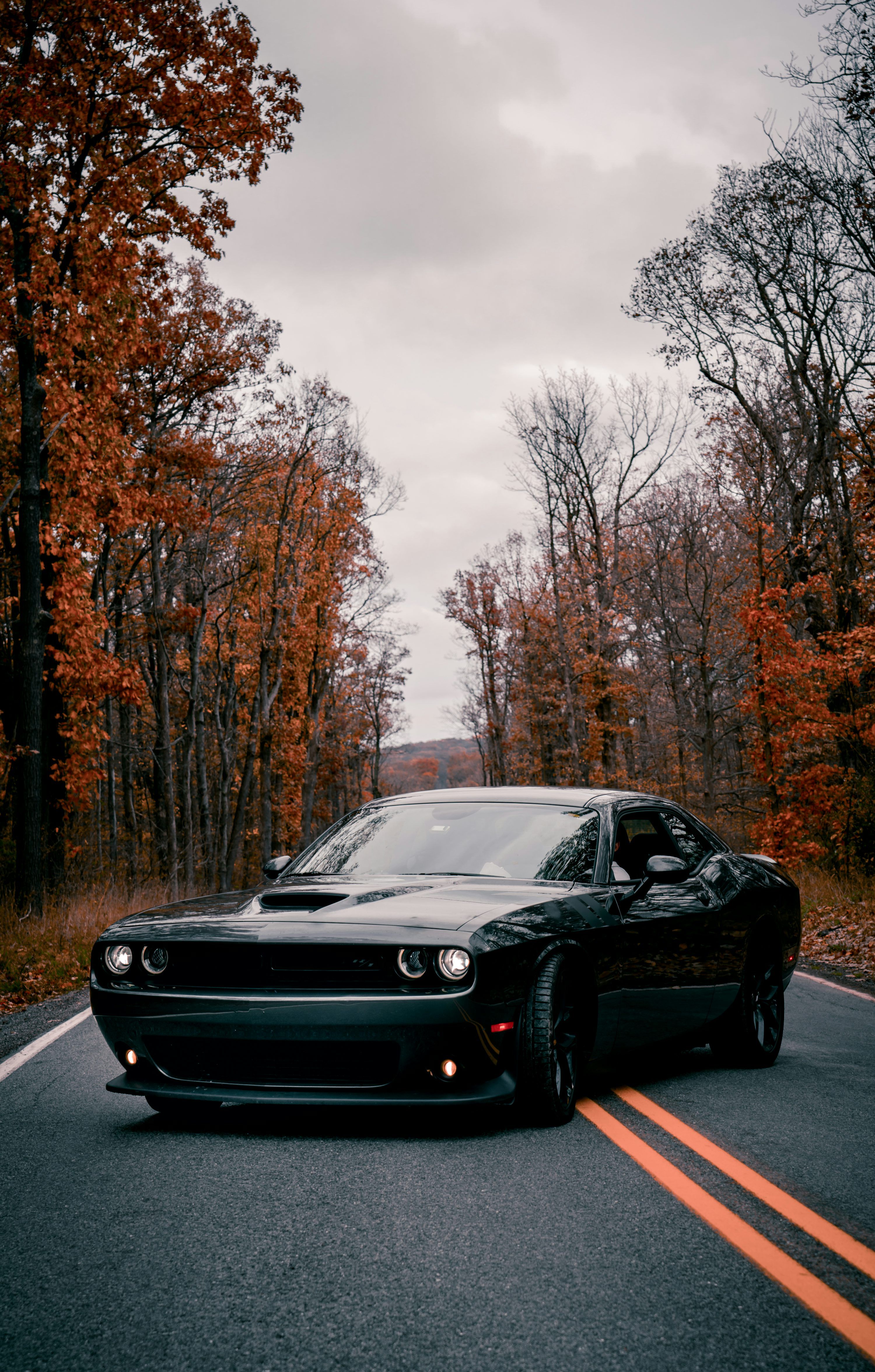  Dodge Challenger Hintergrundbild 3000x4702. Dodge Challenger Picture. Download Free Image