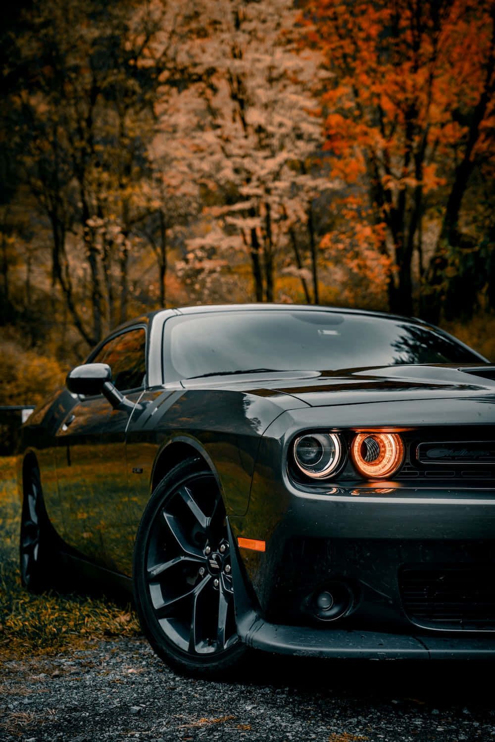  Dodge Challenger Hintergrundbild 1000x1499. Dodge Challenger 4k Wallpaper KOSTENLOS