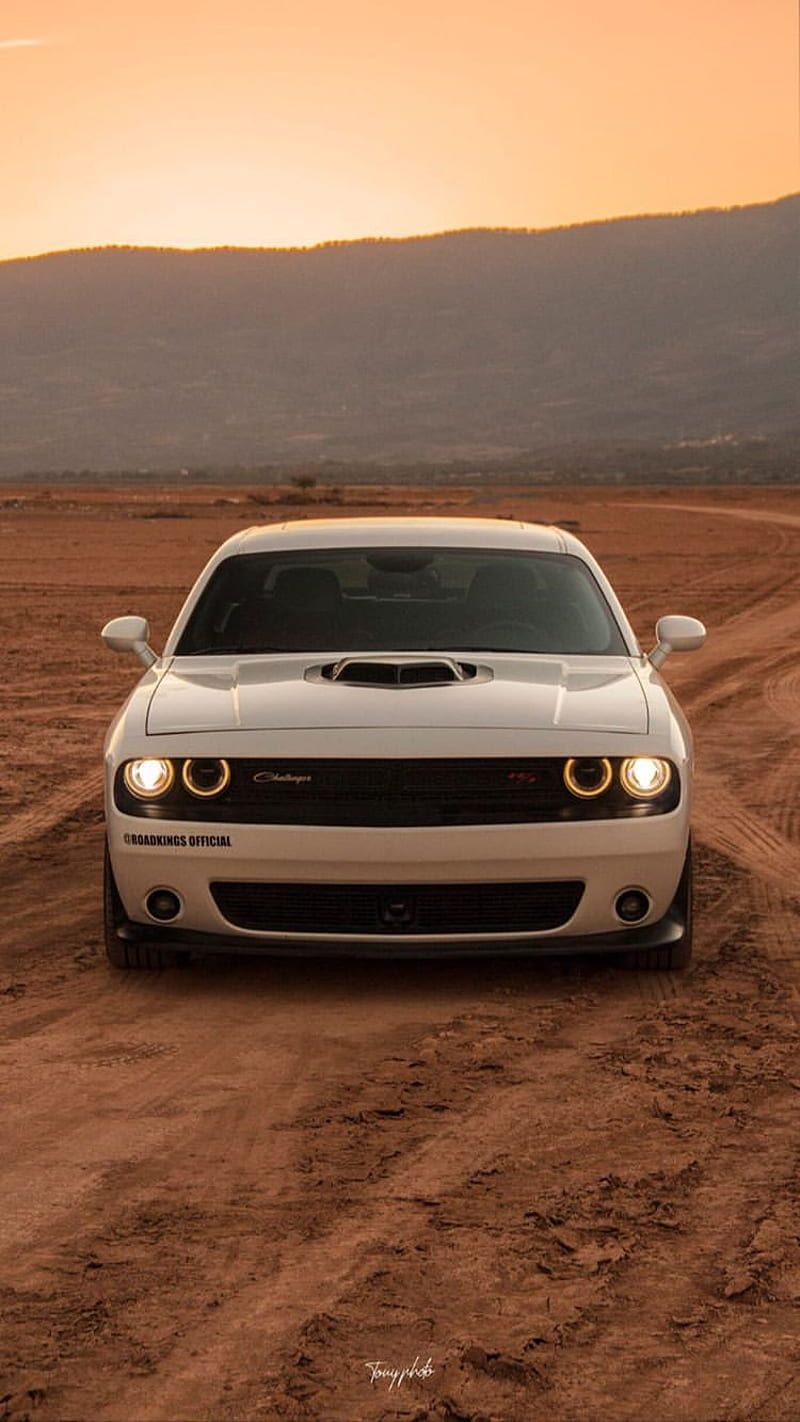  Dodge Challenger Hintergrundbild 800x1422. Challenger SRT, white, desert, dodge, motor, power, ranger, sport, sunset, type, HD phone wallpaper