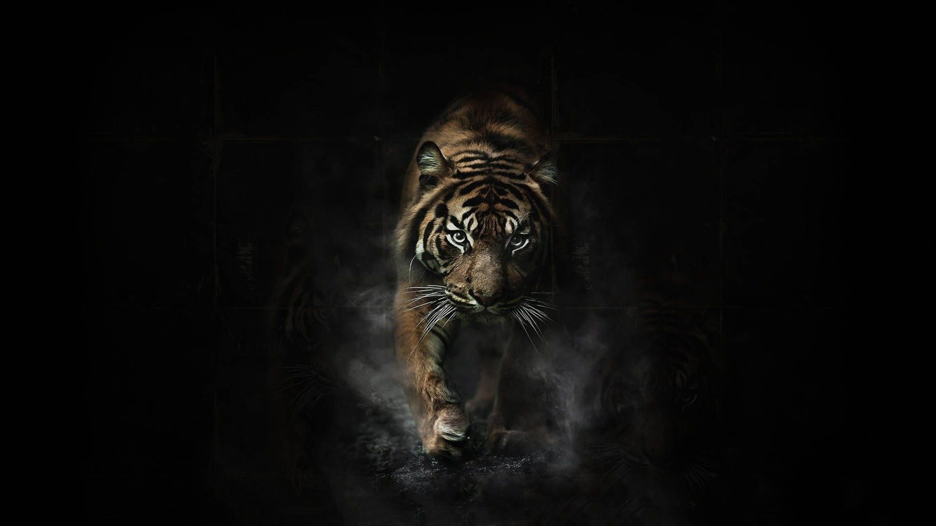  Dark Bionic Hintergrundbild 1920x1080. Download Angry Tiger Dark Aesthetic Wallpaper