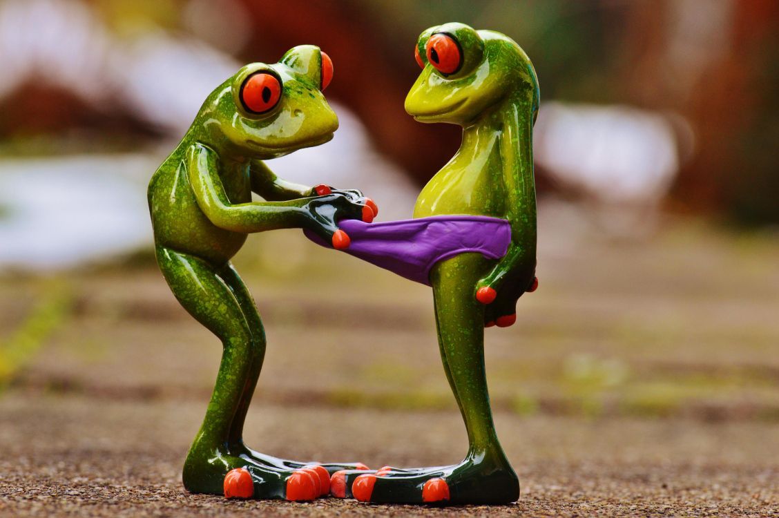  Lustig Hintergrundbild 1128x750. Kostenlose Hintergrundbilder Lustige Frösche, Frogs, Humor, Niedlichkeit, Eleuths, Bilder Für Ihren Desktop Und Fotos