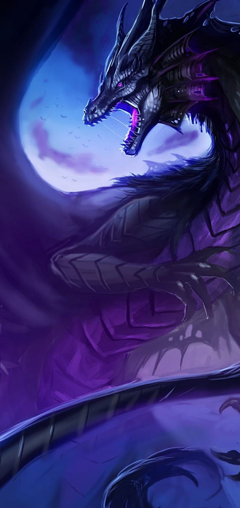  Galaxi Drache Hintergrundbild 800x1689. HD dragon purple wallpaper