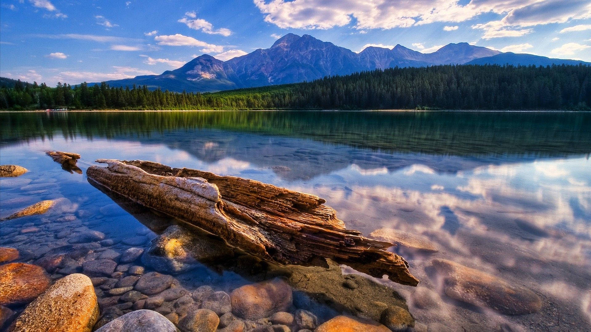  Lake Antorno Hintergrundbild 1920x1080. Download Lake View With Rotten Log Wallpaper