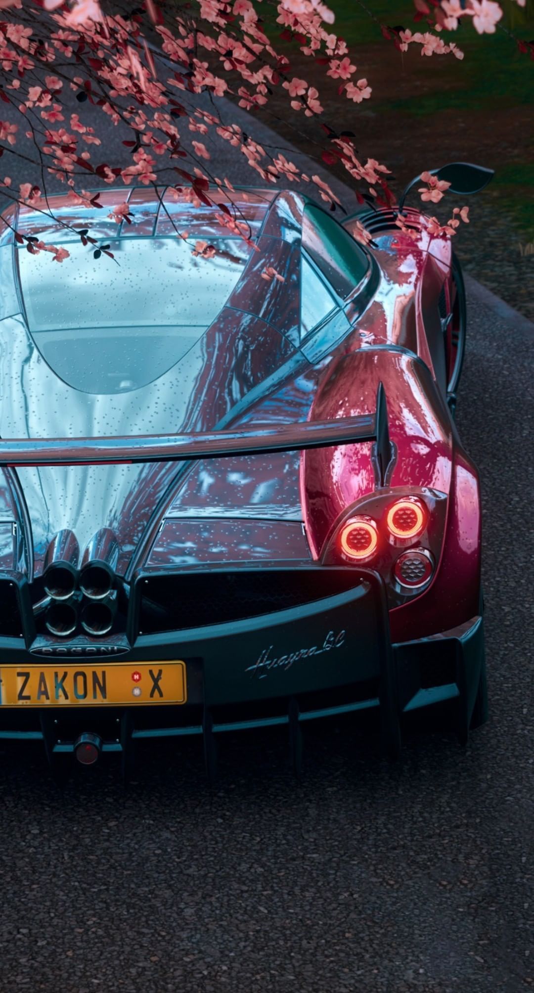  Pagani Hintergrundbild 1080x2008. Pin page