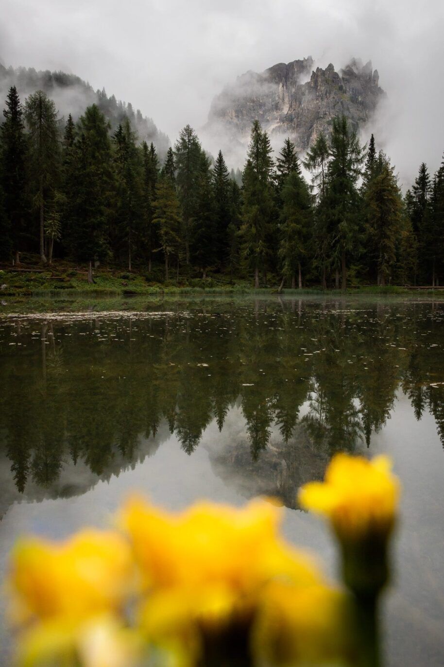  Lake Antorno Hintergrundbild 914x1372. Lago Antorno & Lago Di Misurina