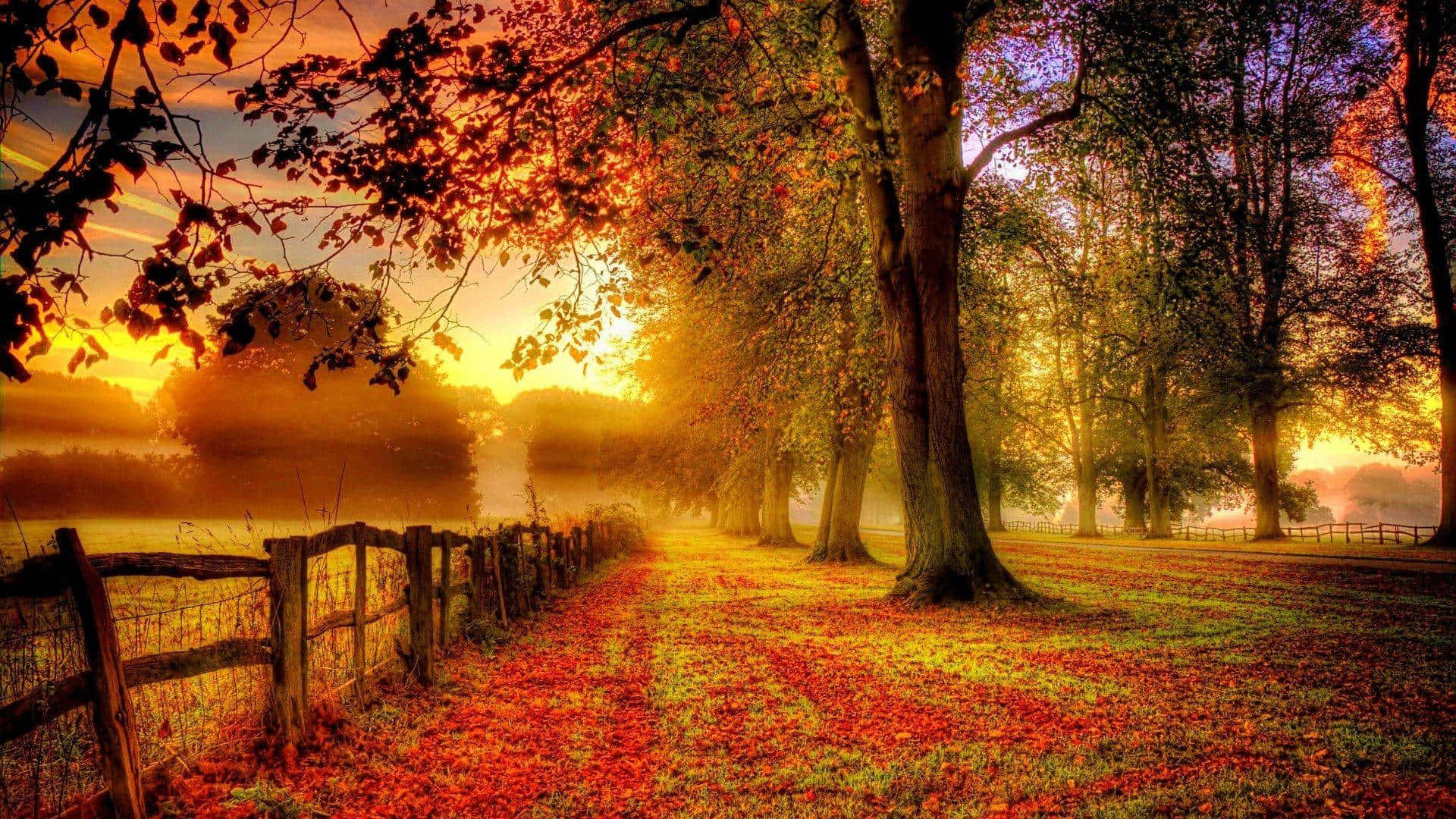  Herbst Schöne Landschaft Hintergrundbild 1920x1080. Ästhetischer Desktop Für Den Herbst Wallpaper KOSTENLOS