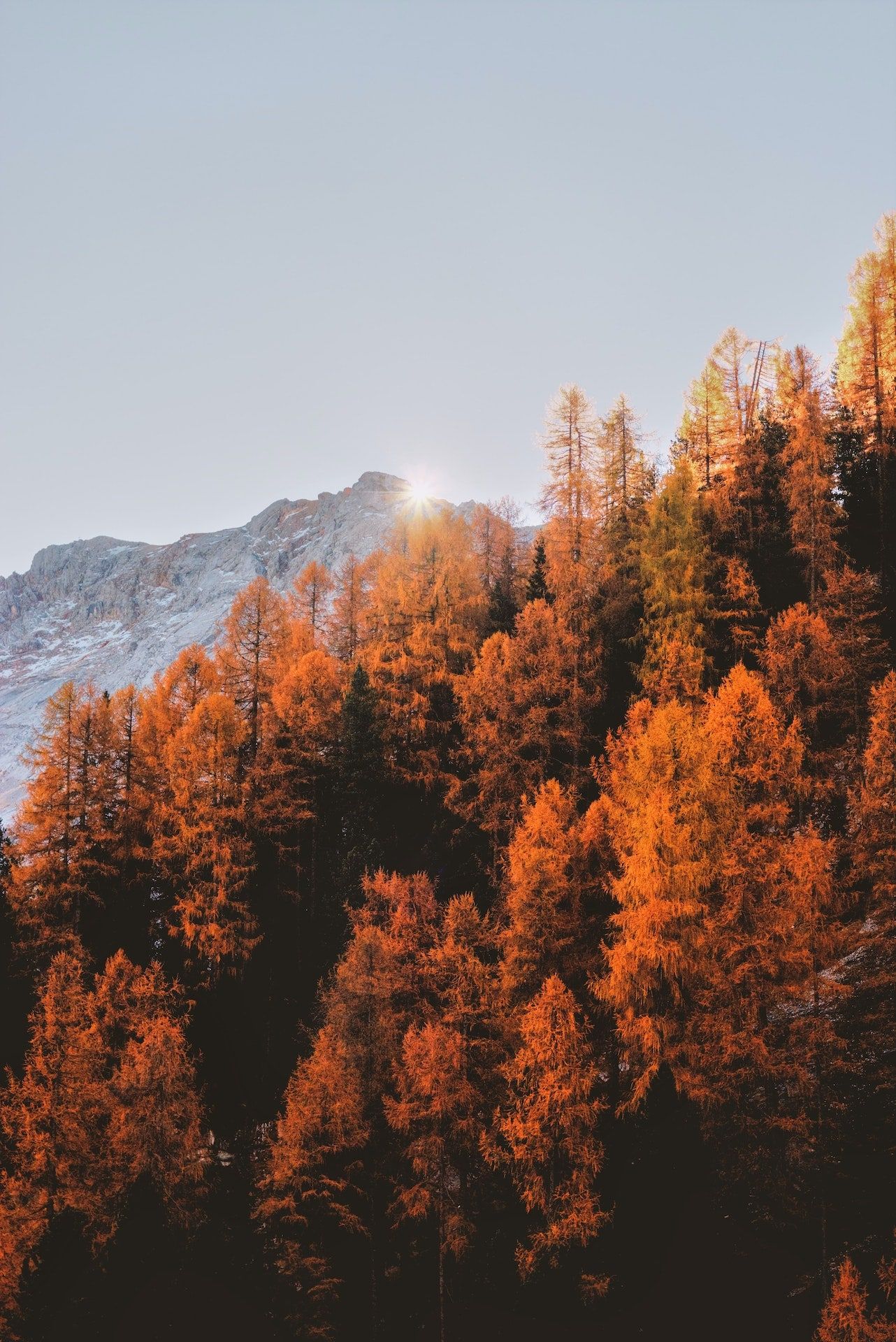  Herbst Schöne Landschaft Hintergrundbild 1282x1920. Herbst Archive