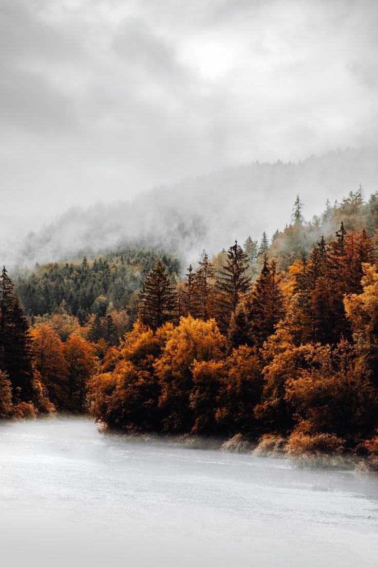  Herbst Schöne Landschaft Hintergrundbild 736x1104. Photo by Daniel J. Schwarz