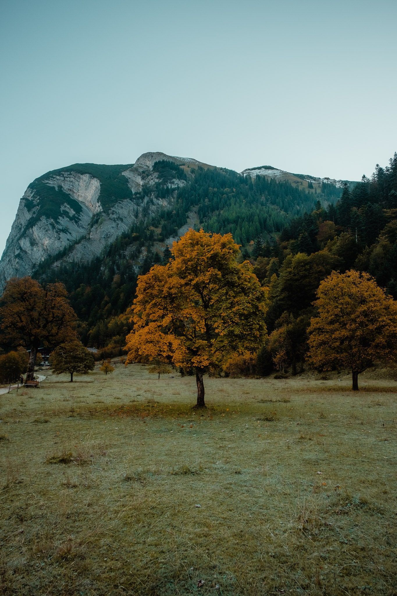  Herbst Kleines Haus Hintergrundbild 1365x2048. Ahornboden im Herbst