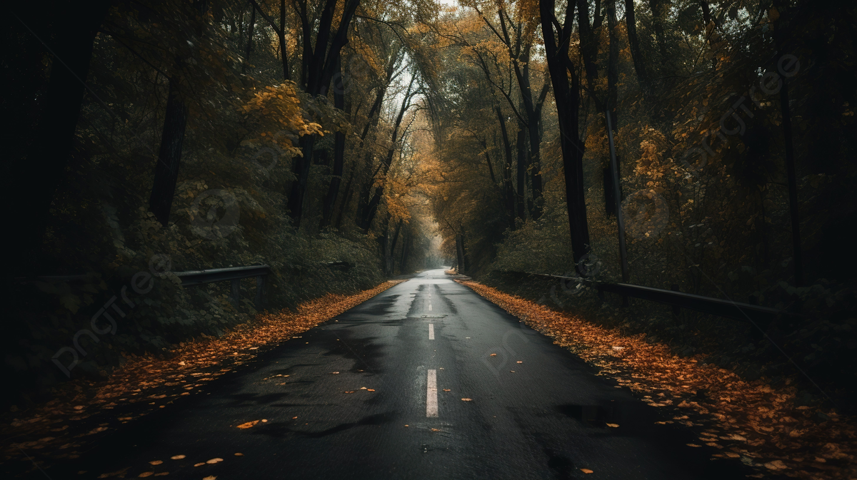  Herbst Schöne Landschaft Hintergrundbild 1200x673. Dunkle Straße Voller Bäume Und Herbstblätter, Ästhetische Straßenbilder, Ästhetische Powerpoints, Schön Hintergrund, Foto und Bild zum kostenlosen Download