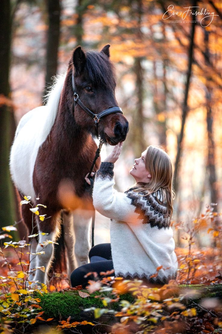  Herbst Und Pferd Hintergrundbild 736x1104. Ulli mit Lykkja im Herbst Wald