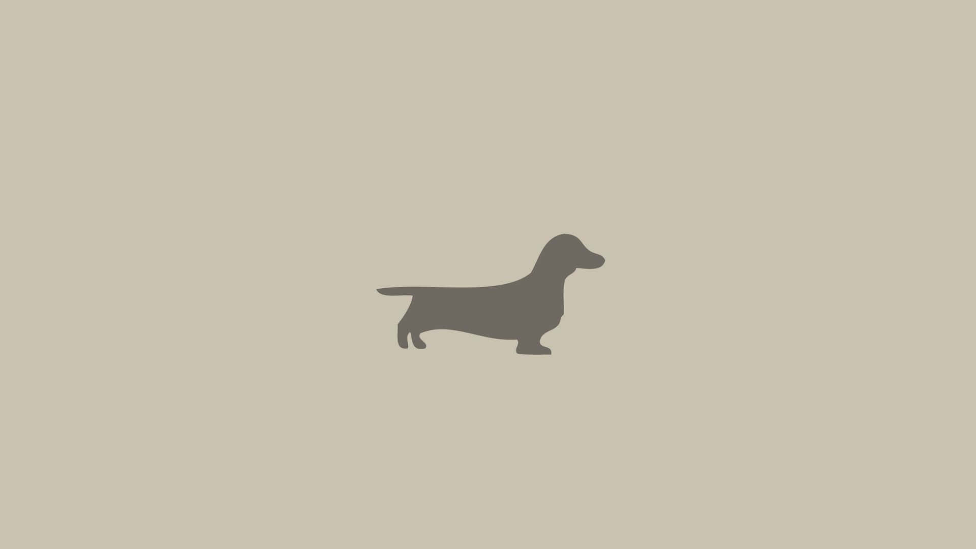  Dackel Hintergrundbild 1920x1080. Dachshund Wallpaper