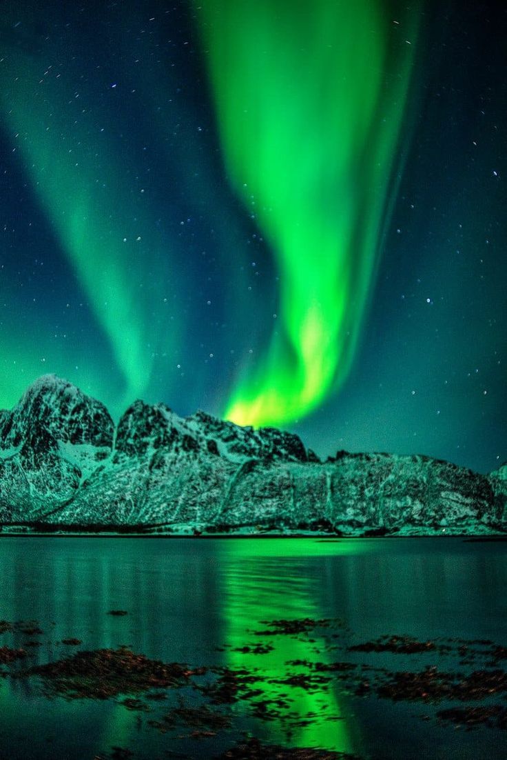  Polarlichter Hintergrundbild 736x1102. Polarlichterjagd auf den Lofoten: Die perfekte Winterreise für Fotografen!