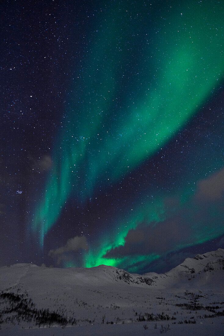  Polarlichter Hintergrundbild 734x1100. Polarlichter über den Bergen bei Tromsø