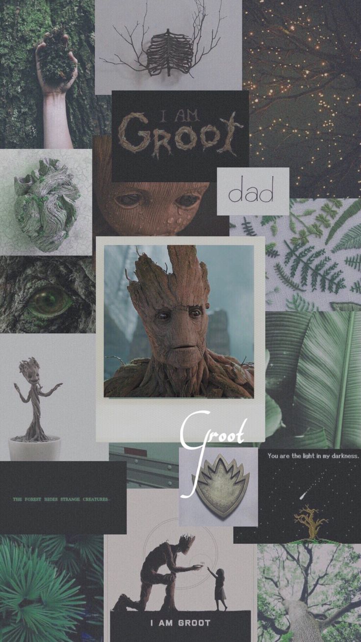  Groot Hintergrundbild 736x1308. Wallpaper & Headers