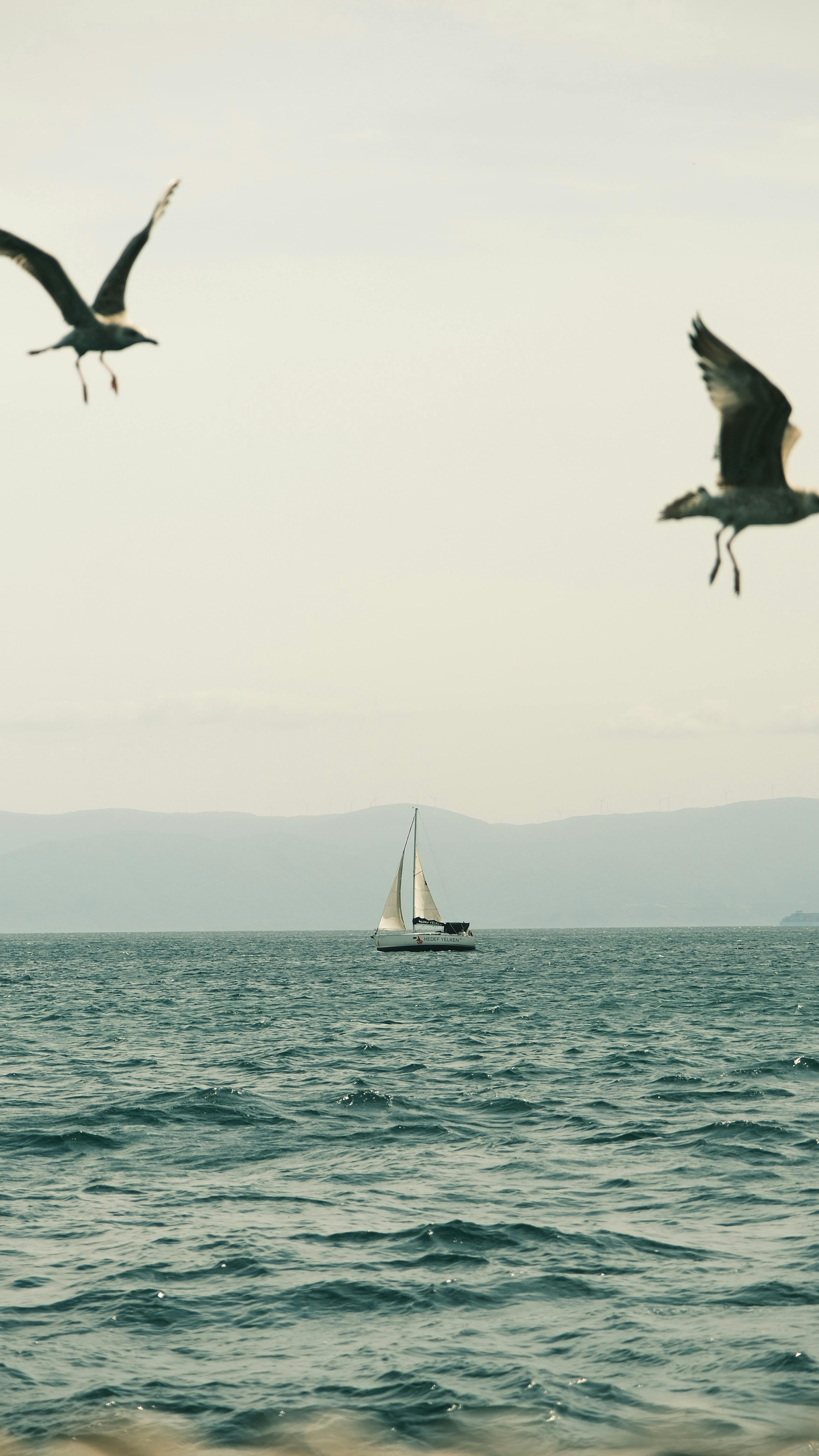  Segelschiff Hintergrundbild 3512x6240. 1.Segelschiff Bilder Und Fotos · Kostenlos Downloaden · Stock Fotos