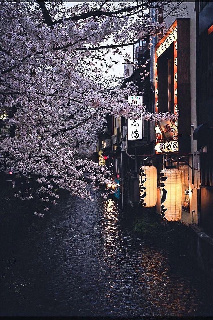  Japanisch Hintergrundbild 736x1104. Japan Aesthetic Wallpaper
