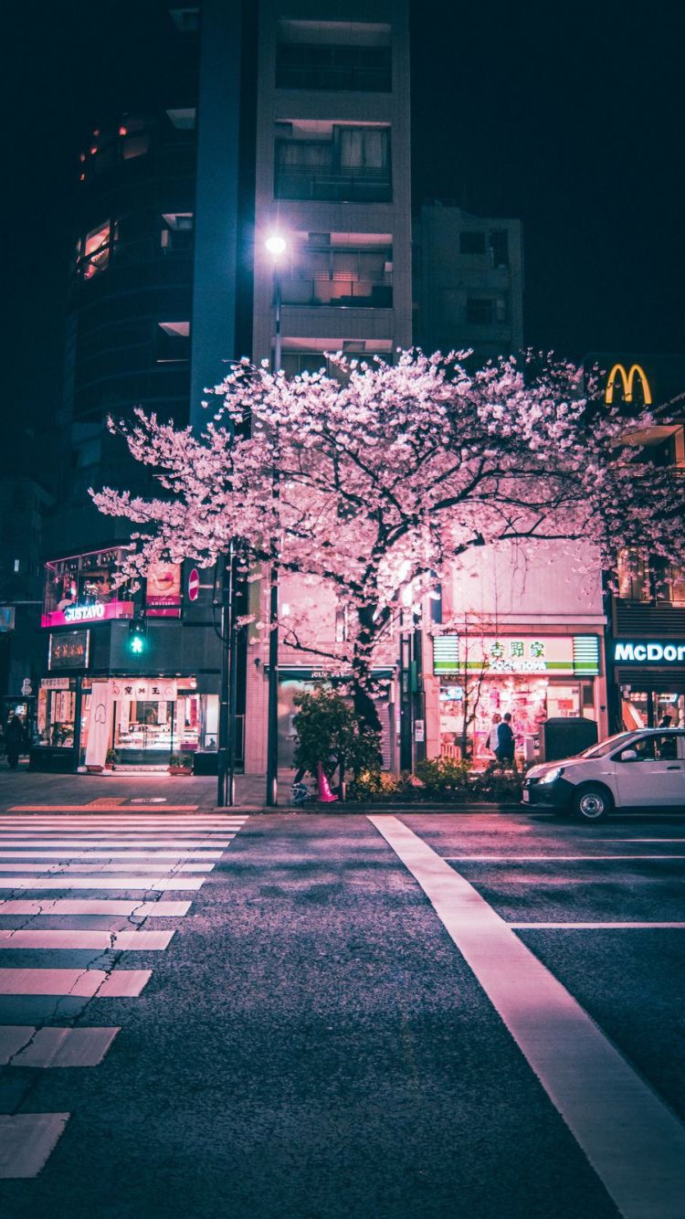  Japanisch Hintergrundbild 750x1334. Japanese Aesthetic City Phone Wallpaper