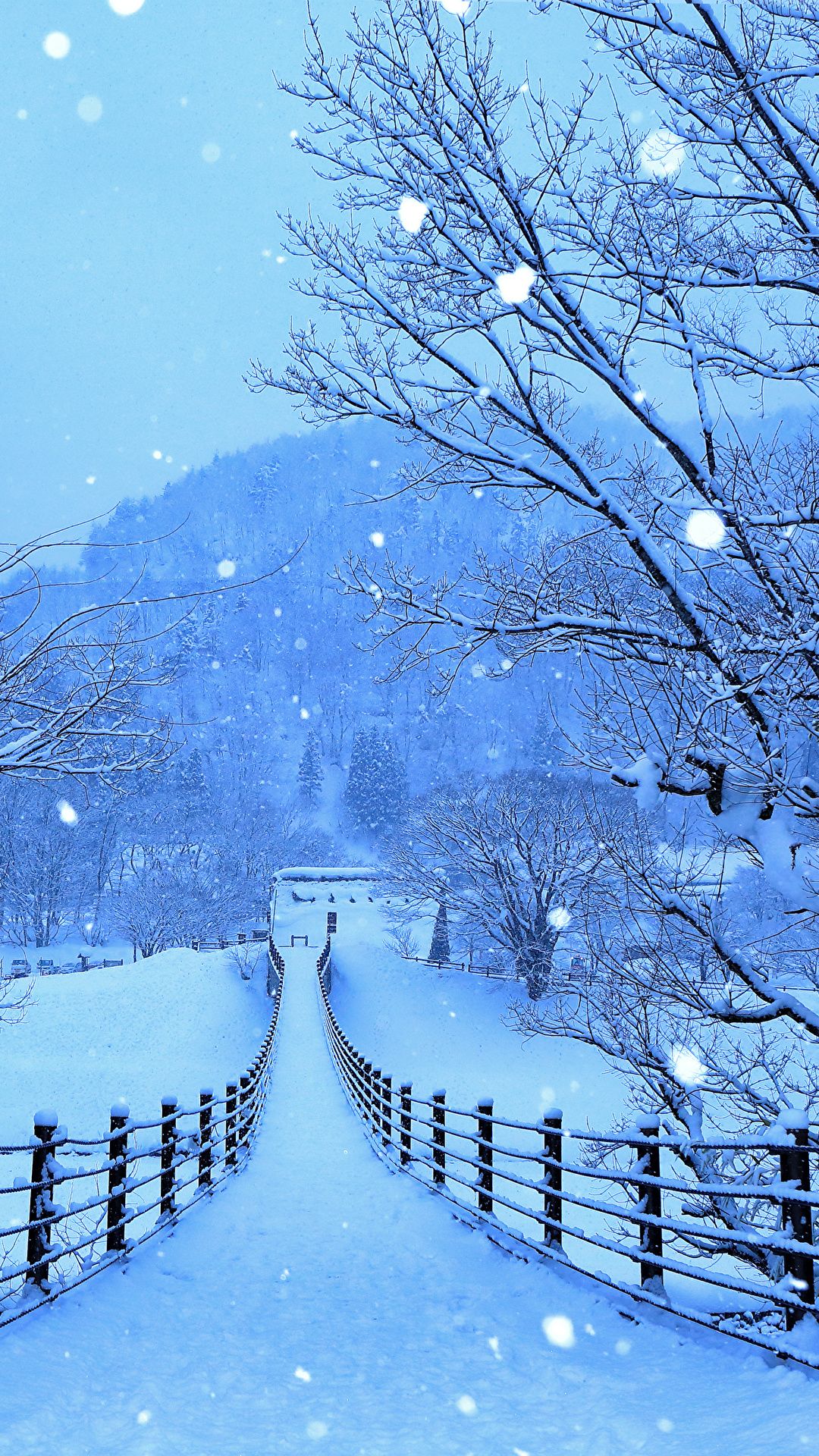  4k Handy Hintergrundbild 1080x1920. Bilder Japan Shirakawa Go And Gokayama Natur Winter Wege 1080x1920