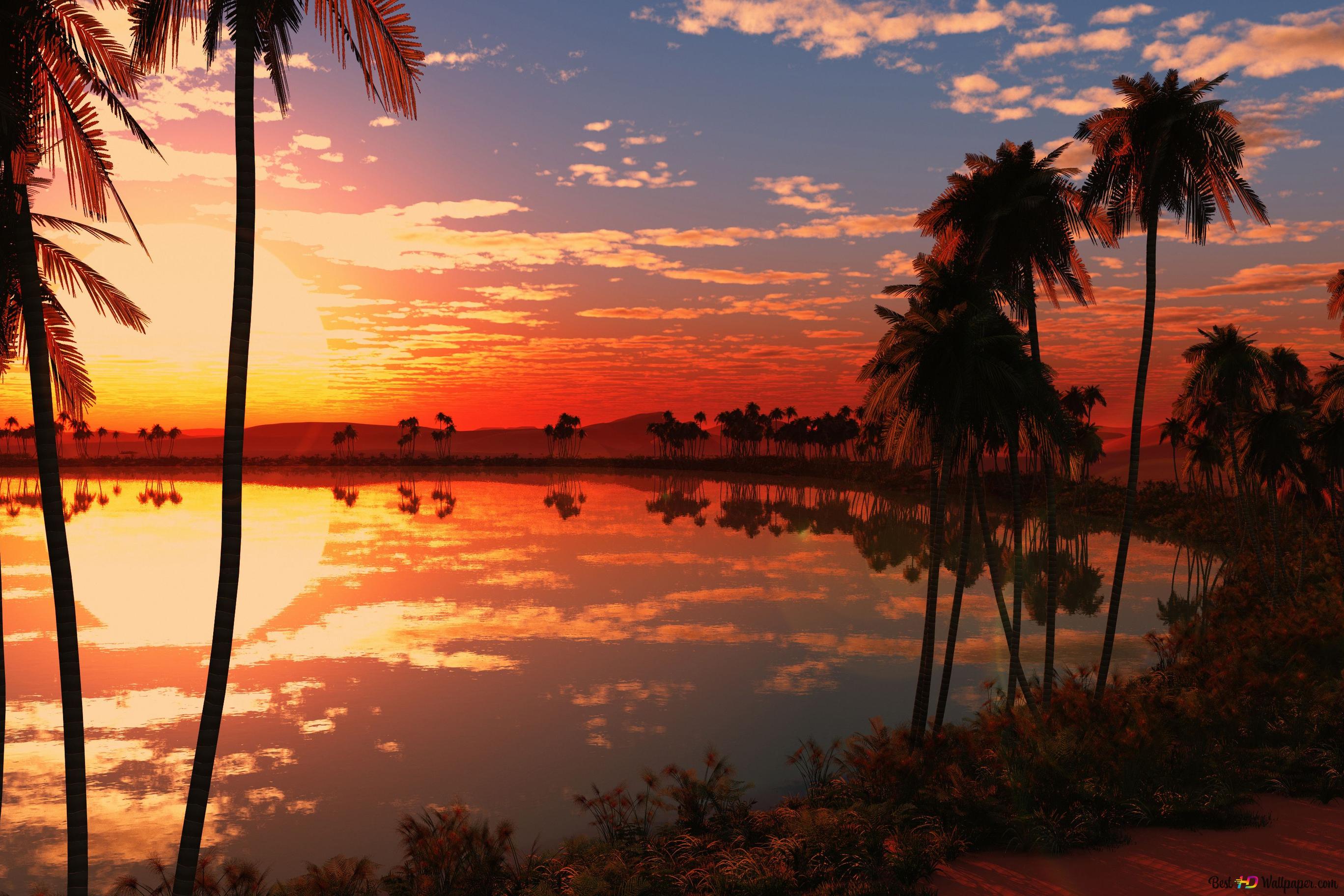  4k PC Hintergrundbild 2736x1824. Palmen und Landschaft, die sich im Wasser in der Landschaft der roten Wolken bei Sonnenaufgang widerspiegeln 4K Hintergrundbild herunterladen