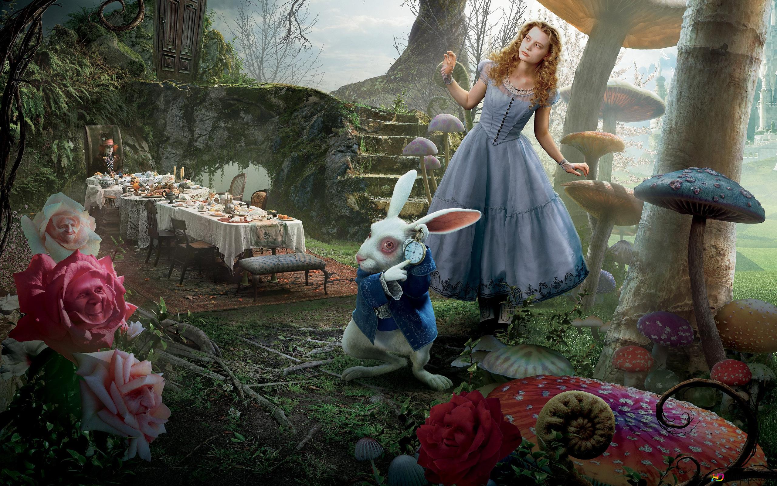  Alice Im Wunderland Hintergrundbild 2560x1600. Alice im Wunderland Film Hase hübsches Mädchen 2K Hintergrundbild herunterladen
