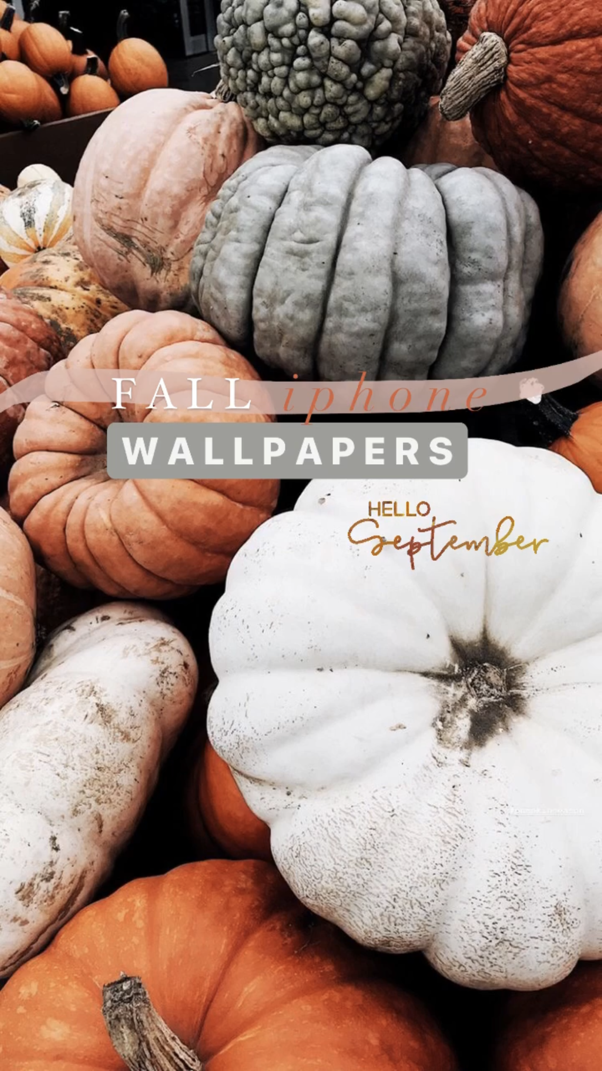 IPhone Hintergrundbild 1242x2208. Aesthetic Fall iPhone Wallpaper You Need for Spooky Season!