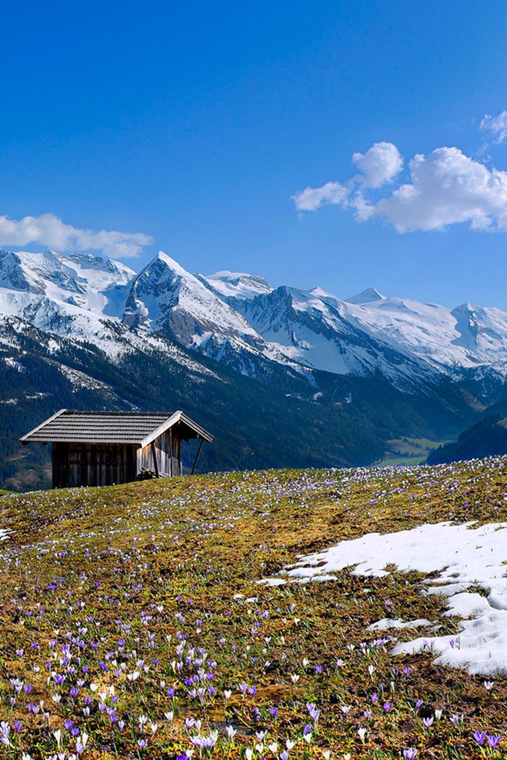  Alpen Hintergrundbild 1000x1500. Pin auf Wallpaper & Hintergrundbilder: Landschaften, Berge