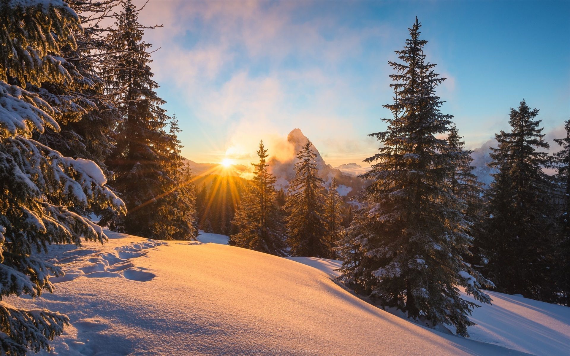  Alpen Hintergrundbild 1920x1200. Alpen, Winter, Schnee, Bäume, Sonnenstrahlen 1920x1200 HD Hintergrundbilder, HD, Bild