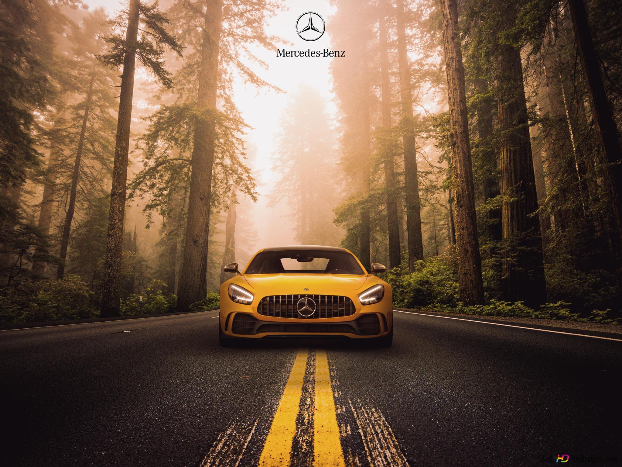  AMG Hintergrundbild 2048x1536. Gelber Mercedes Benz AMG GT R im Wald 4K Hintergrundbild herunterladen
