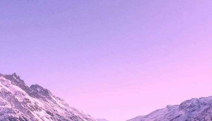  Violett Hintergrundbilder