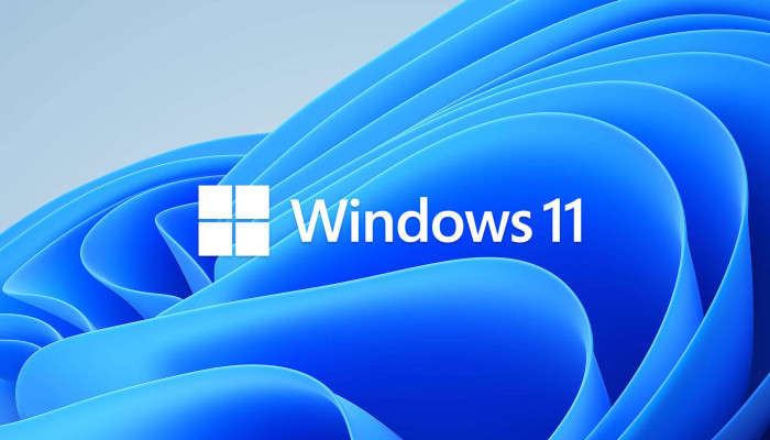  Windows 11 Hintergrundbilder